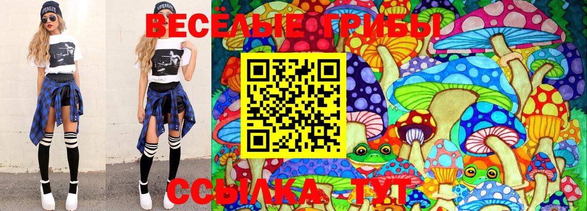 сколько стоит  Вход с VPN  Семёнов  Псилоцибиновые грибы Psilocybine cubensis 